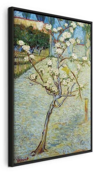 Quadro - Blossoming Pear Tree