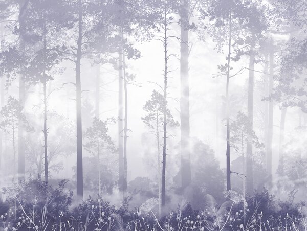Carta da parati La foresta nella nebbia, Carta da parati Foresta, Carta da parati Foresta Nebbiosa, u94439v4 : Uwalls.it