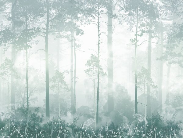 Carta da parati La foresta nella nebbia, Carta da parati Foresta, Carta da parati Foresta Nebbiosa, u94439v3 : Uwalls.it