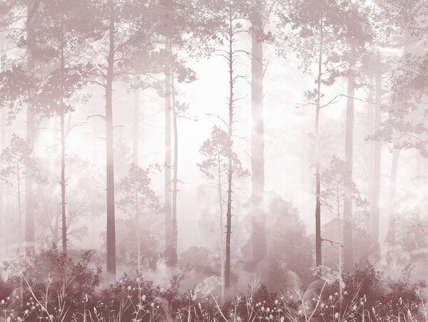 Carta da parati La foresta nella nebbia, Carta da parati Foresta, Carta da parati Foresta Nebbiosa, u94439v1 : Uwalls.it