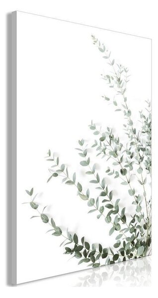 Quadro - Eucalyptus Parvifolia (1 Part) Vertical