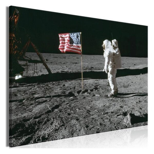 Quadro - Always First (1 Part) Wide