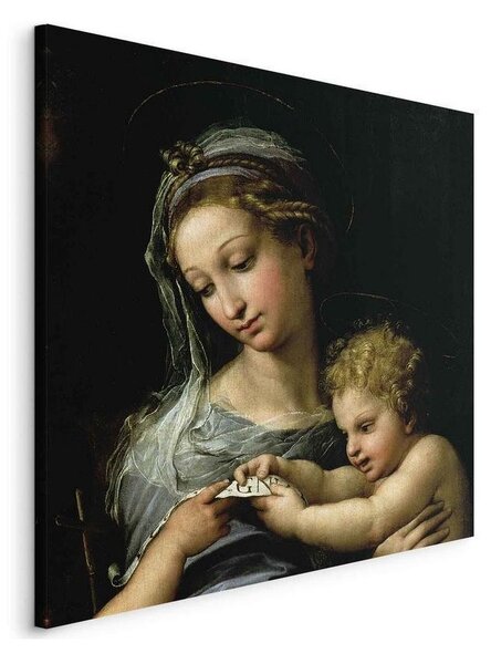 Quadro - The Virgin of the Rose (Rafael Santi)