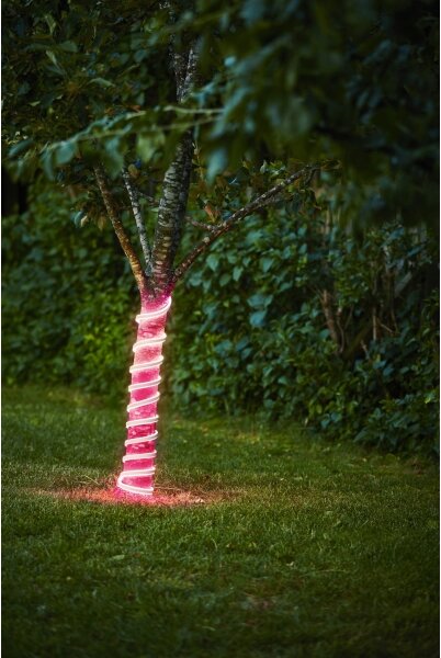Eglo 900219 - Striscia LED FLATNEONLED LED/96W/24V 5 m IP44 rosa
