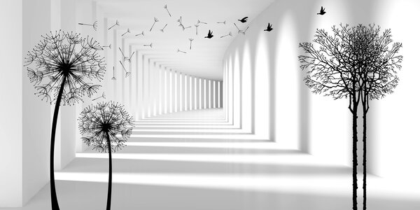 Carta da parati Profondità e luce, Carta da parati in Bianco e Nero, u37803d2 : Uwalls.it