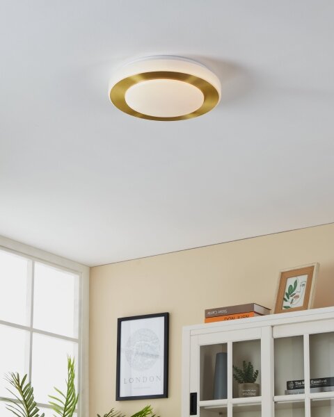 Eglo 900369 - Plafoniera LED da bagno CARPI LED/10,8W/230V IP44