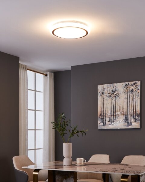Eglo 900149 - Plafoniera LED CAPASSO LED/14,6W/230V