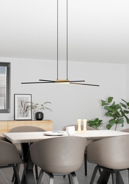Eglo 900489 - Lampadario a sospensione con filo LED dimmerabile PANAGRIA 2xLED/13W/230V
