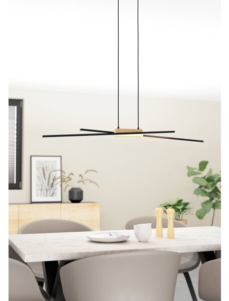 Eglo 900489 - Lampadario a sospensione con filo LED dimmerabile PANAGRIA 2xLED/13W/230V