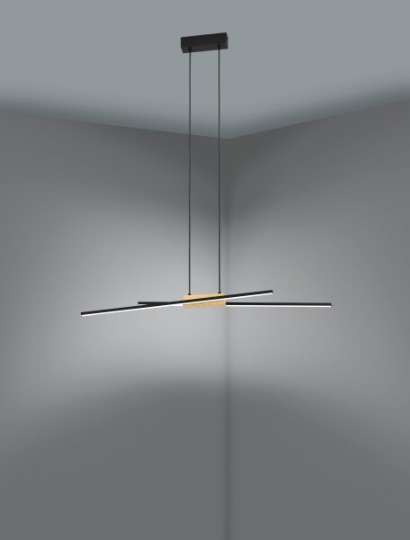 Eglo 900489 - Lampadario a sospensione con filo LED dimmerabile PANAGRIA 2xLED/13W/230V