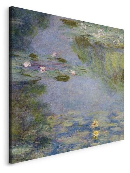 Quadro - Nymphéas (Claude Monet)