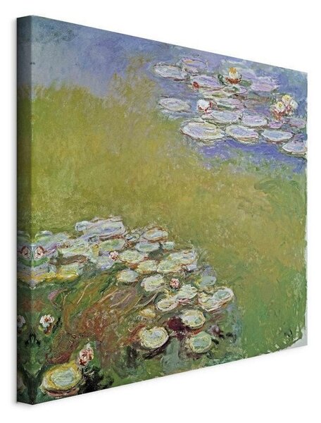 Quadro - Water Lilies (Claude Monet)