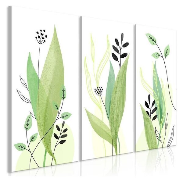 Quadro - Green Day (3 Parts)