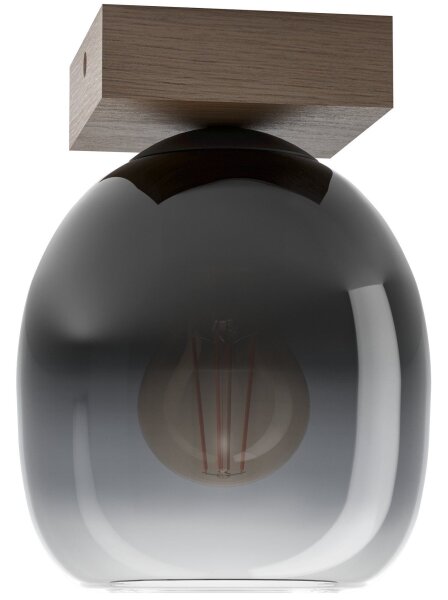 Eglo 900825 - Plafoniera FILAGO 1xE27/40W/230V