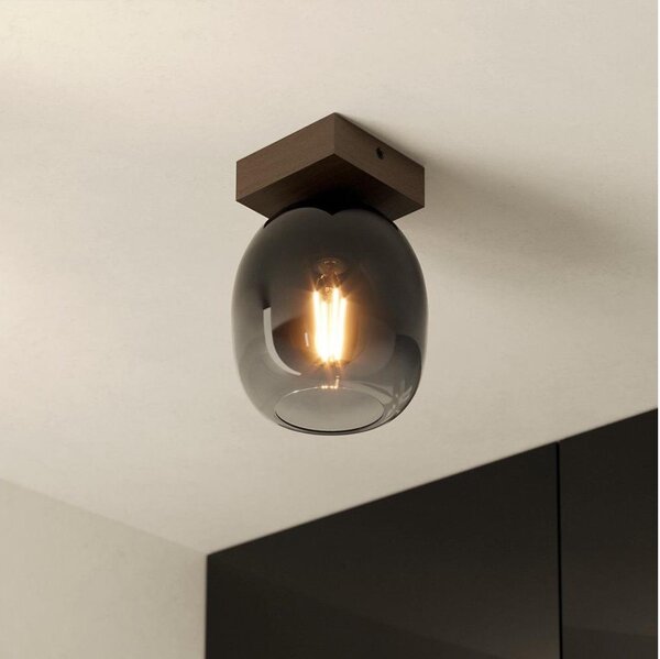 Eglo 900825 - Plafoniera FILAGO 1xE27/40W/230V