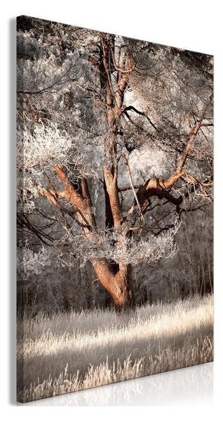 Quadro - My Story (1 Part) Vertical