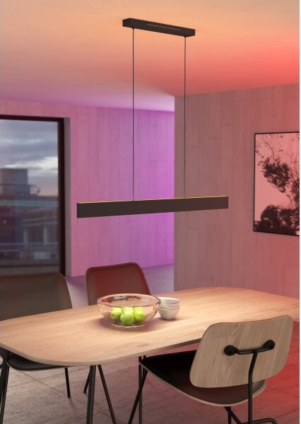 Eglo 900878 - LED RGBW Lampadario dimmerabile a sospensione con filo ANDREAS-Z LED/38W/230V nero