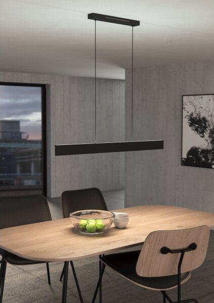 Eglo 31433 - LED RGBW Lampadario dimmerabile a sospensione con filo ANDREAS-Z LED/38W/230V nero