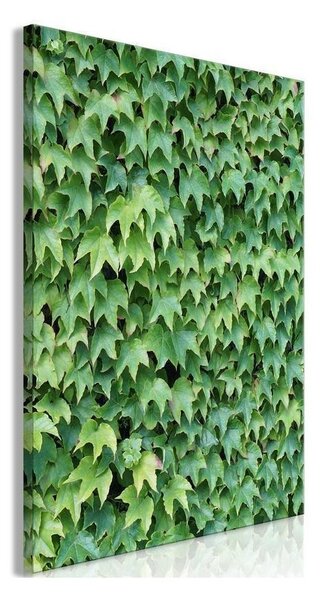Quadro - Thick Ivy (1 Part) Vertical