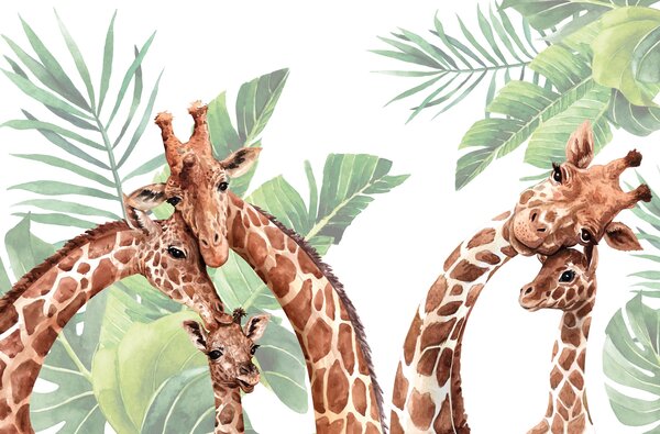 Carta da parati Famiglia di giraffe a cartoni animati e foglie di palma su sfondo bianco, Carta da parati Design, w00140v3 : Uwalls.it