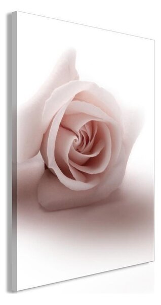 Quadro - Floral Glamour Glow (1-part) - Delicate and Pastel Pink Rose
