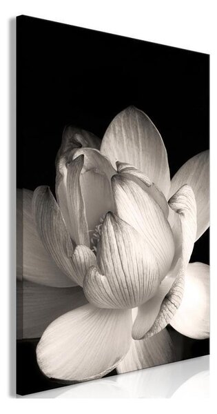 Quadro - Delicacy of Petals in Nature (1-part) - Flower in Black and White