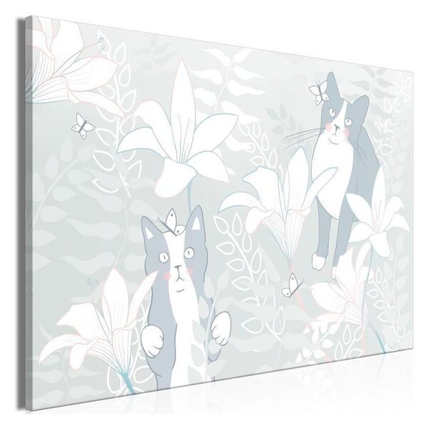 Quadro - Cat Matters (1 Part) Wide - First Variant