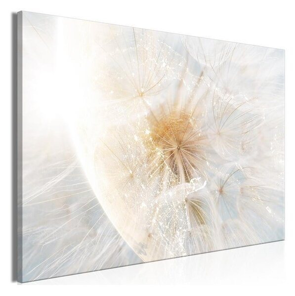 Quadro - Dandelion in the Sun (1 Part) Wide