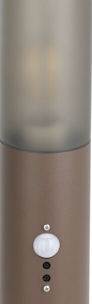 Eglo 900986 - Lampada da esterno con sensore HELSINKI 1xE27/15W/230V 45 cm IP44