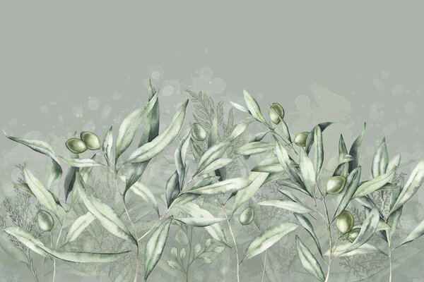 Carta da parati Illustrazione delle olive, disegno floreale, tropicale, acquerello, foglie grandi, colori, Carta da parati Natura, w00407 : Uwalls.it