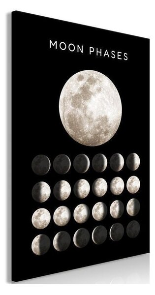 Quadro - Moon Phases (1 Part) Vertical