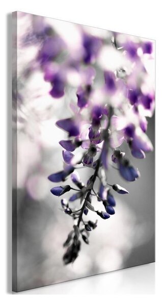 Quadro - Violet Ringtones (1 Part) Vertical