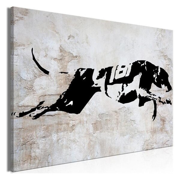 Quadro - Greyhound Race (1 Part) Wide