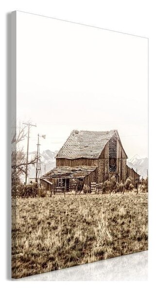 Quadro - Abandoned Ranch (1 Part) Vertical