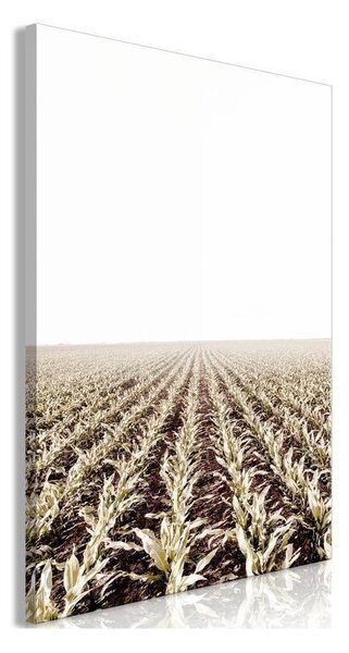 Quadro - Corn Field (1 Part) Vertical