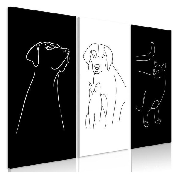 Quadro - Domestic Animals (3 Parts)