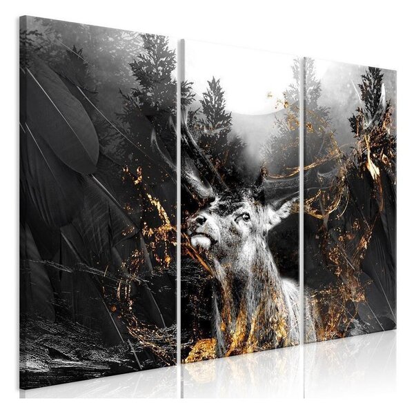 Quadro - King of the Woods (3 Parts)
