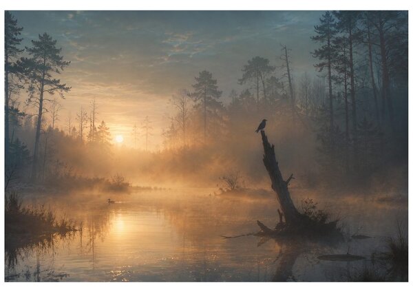Carta da parati – Foresta nebbiosa sul lago