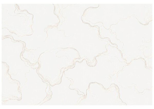 Carta da parati – Linee ondulate beige minimaliste