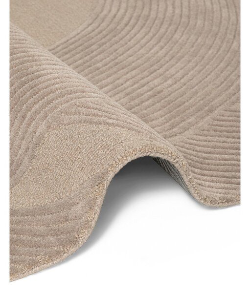 Tappeto beige in lana 160x230 cm Kensington Victoria – Ted Baker