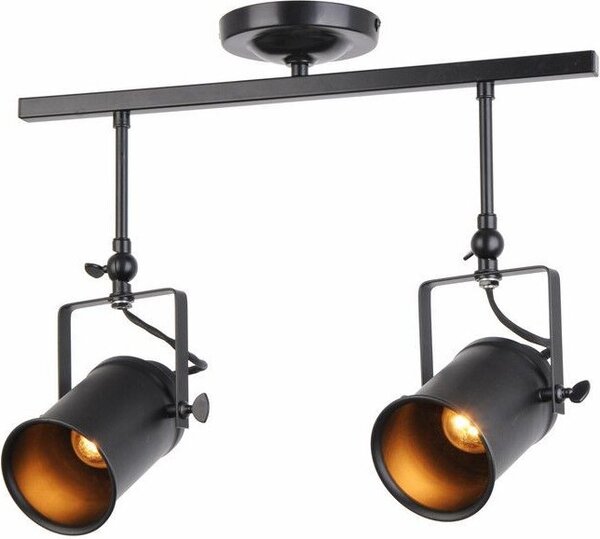 Lampada a sospensione Gemma nera 2xE27x40W in metallo, dimensioni: 42x55x12 cm, IP20, Reality