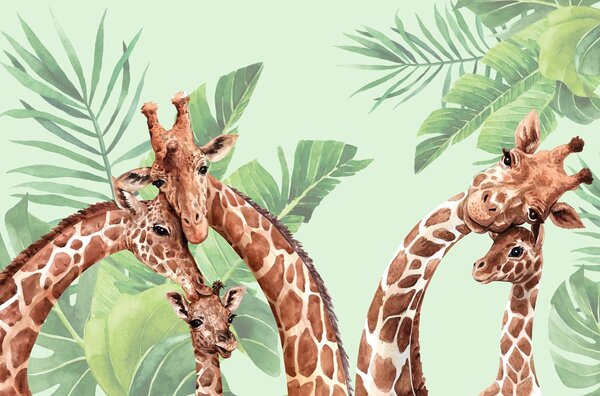 Carta da parati Le giraffe si godono un momento insieme, Carta da parati per Bambini, w00140 : Uwalls.it