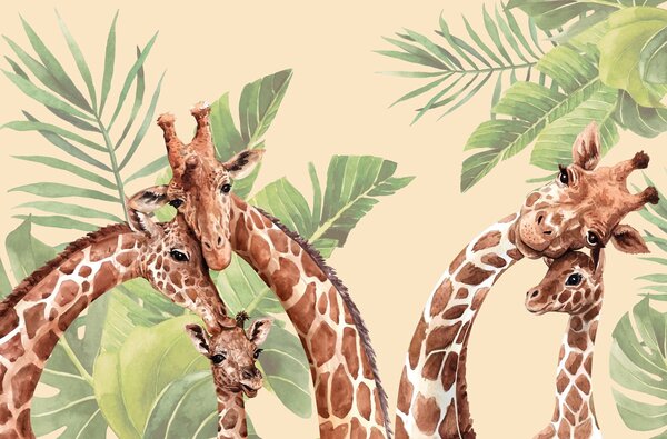 Carta da parati Le giraffe si godono un momento insieme, Carta da parati per Bambini, w00140v1 : Uwalls.it