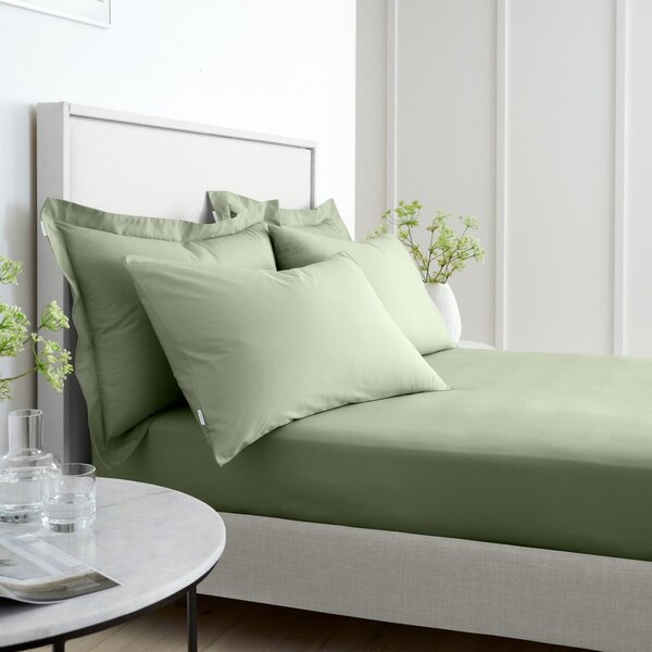 Lenzuolo con angoli verde in percalle di cotone 90x190 cm Cotton Percale – Bianca