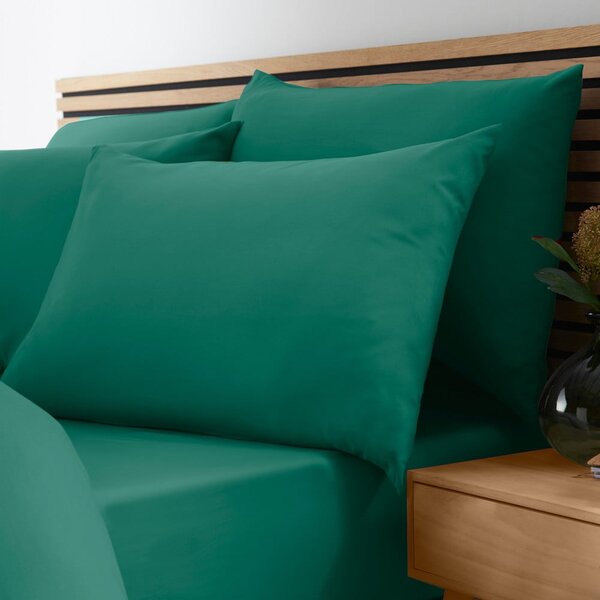 Lenzuolo con angoli color foglia di tè 90x190 cm So Soft Non-Iron – Catherine Lansfield
