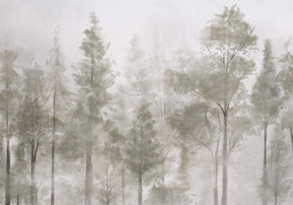Carta da parati Pini alti e strutturati in una foresta nebbiosa, con un'atmosfera nebbiosa e vaporosa, Carta da parati Natura, w08411 : Uwalls.it