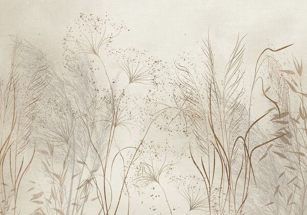 Carta da parati Illustrazione monocromatica di varie piante e spighette beige con linee e texture, Carta da parati Acquerello, w08441 : Uwalls.it