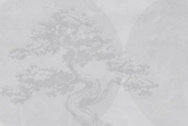 Carta da parati Albero bonsai minimalismo geometria grunge sfondo, Carta da parati Natura, w08557v1 : Uwalls.it