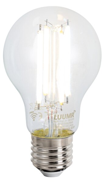 Lampada da terra intelligente nera con WiFi A60 vetro fumé - Bliss