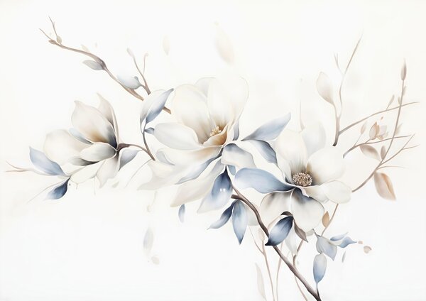 Carta da parati Delicati fiori di magnolia bianchi con morbidi petali blu su uno sfondo chiaro di, Carta da parati Floreale, w08644 : Uwalls.it